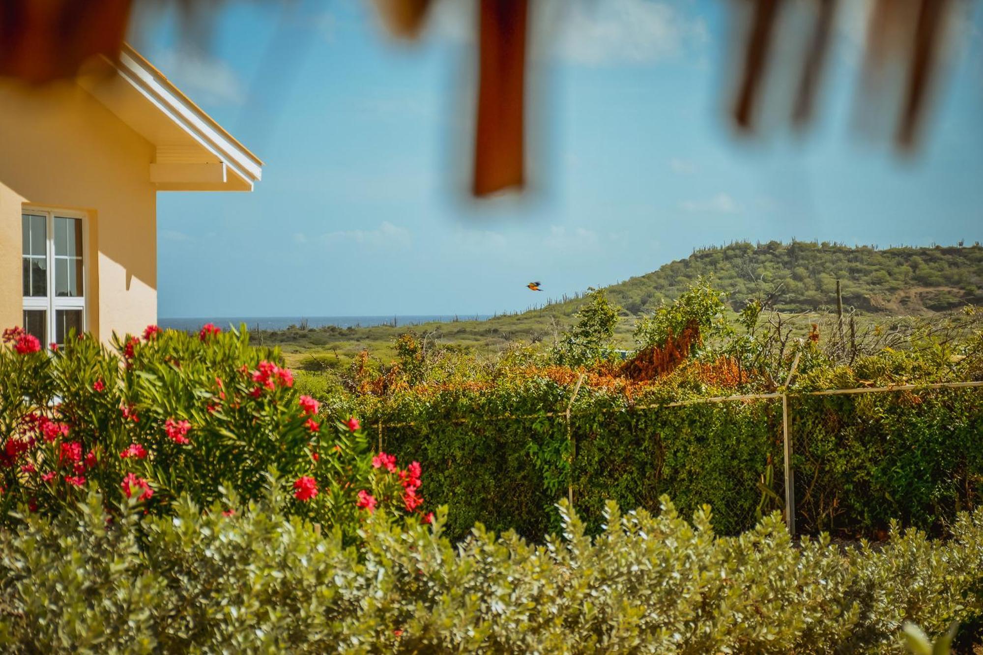 Santa Catharina Resort - Casa Samson Willemstad Buitenkant foto